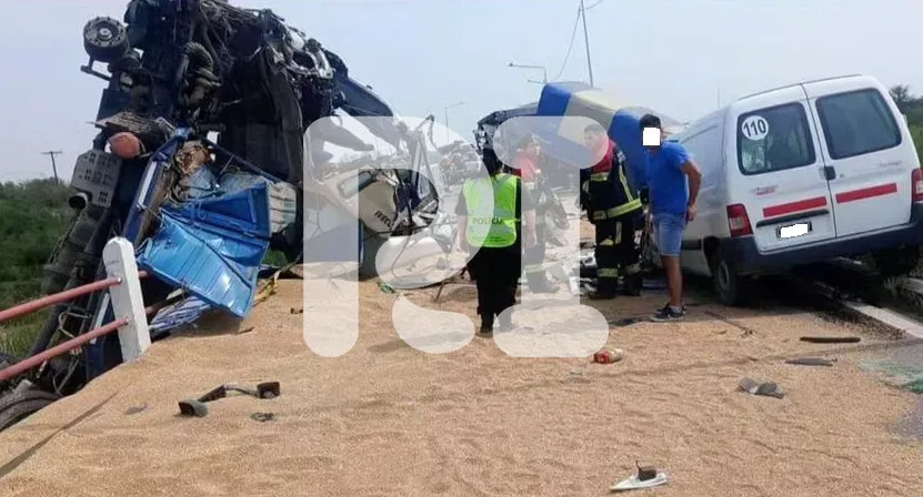 WhatsApp Image 2024-10-23 at 11.03.28 (1)