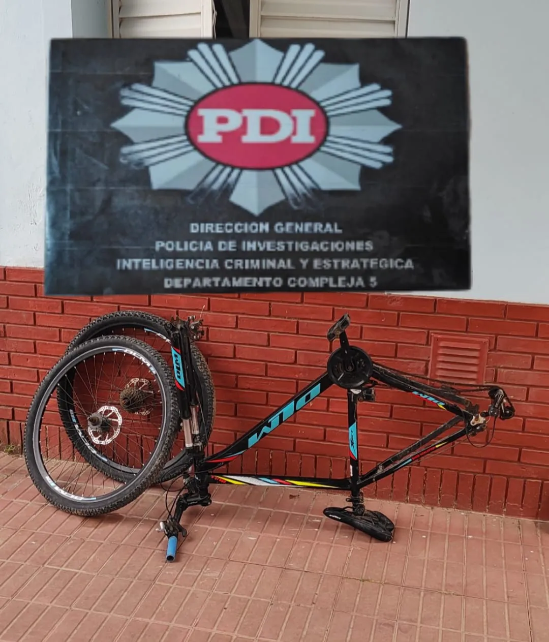 WhatsApp Image 2024-10-15 at 18.43.05