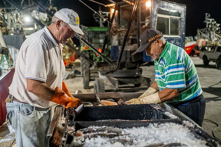 WhatsApp Image 2026-03-04 at 8.08.55 AM