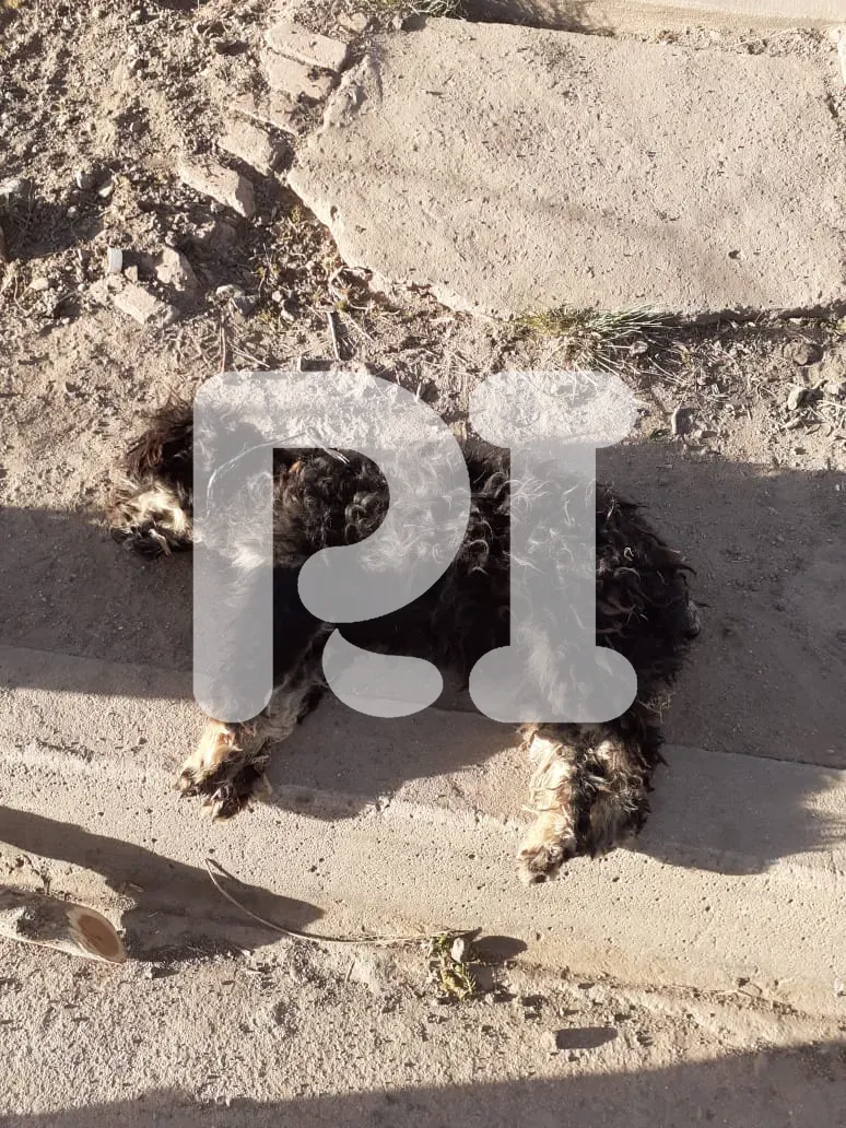 2fe2651c-c2b9-433b-84fe-9bedf76166f6