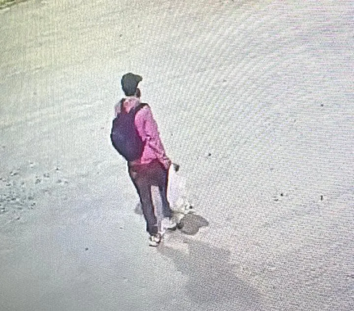 f83db372-fb0f-4693-81f5-cb0c1d8d7237