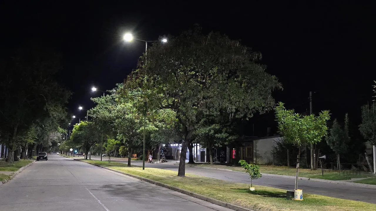 WhatsApp Image 2025-01-19 at 6.22.01 PM