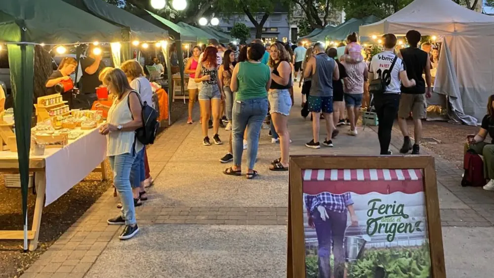 WhatsApp Image 2024-11-13 at 9.12.55 AM