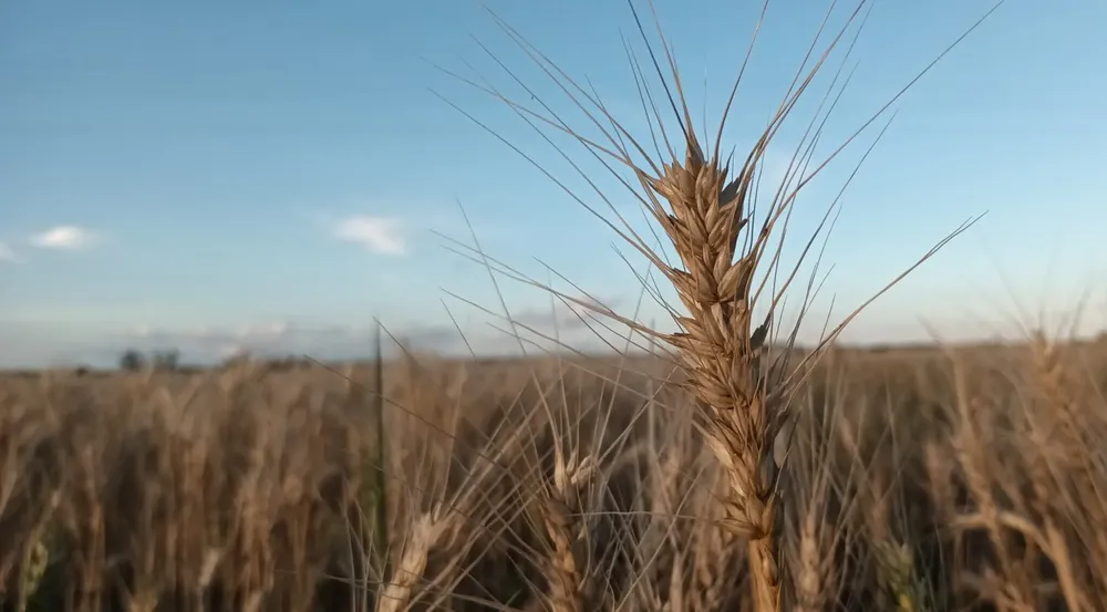 20221113_190522-2048x1133