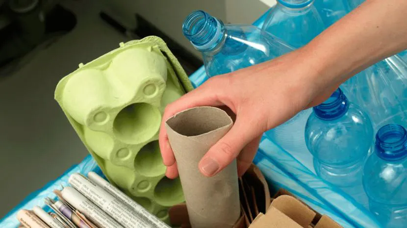 WhatsApp Image 2026-01-22 at 1.20.26 PM