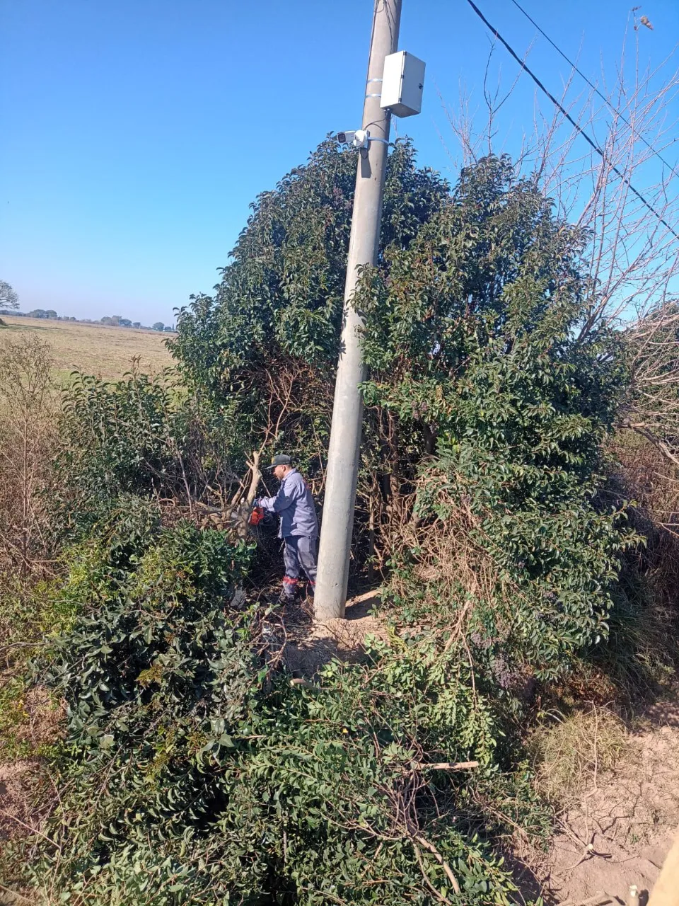 Imagen de WhatsApp 2025-06-07 a las 11.16.40_c1bd24c7