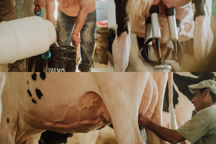 Imagen de WhatsApp 2025-09-17 a las 08.46.03_382bfd1f